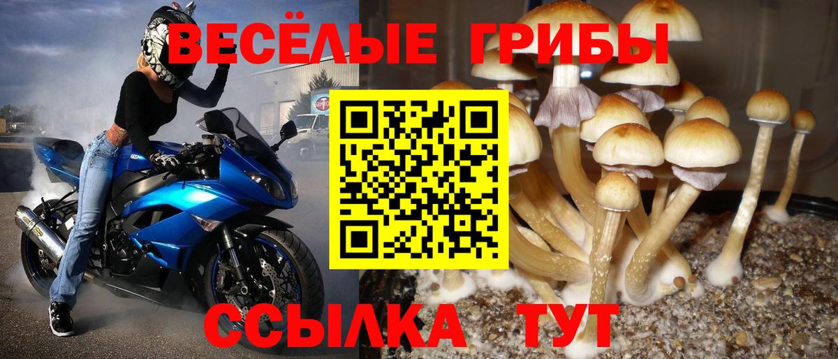 Псилоцибиновые грибы Cubensis  Вход с VPN  Галлюциногенные грибы Magic Shrooms  Муравленко 